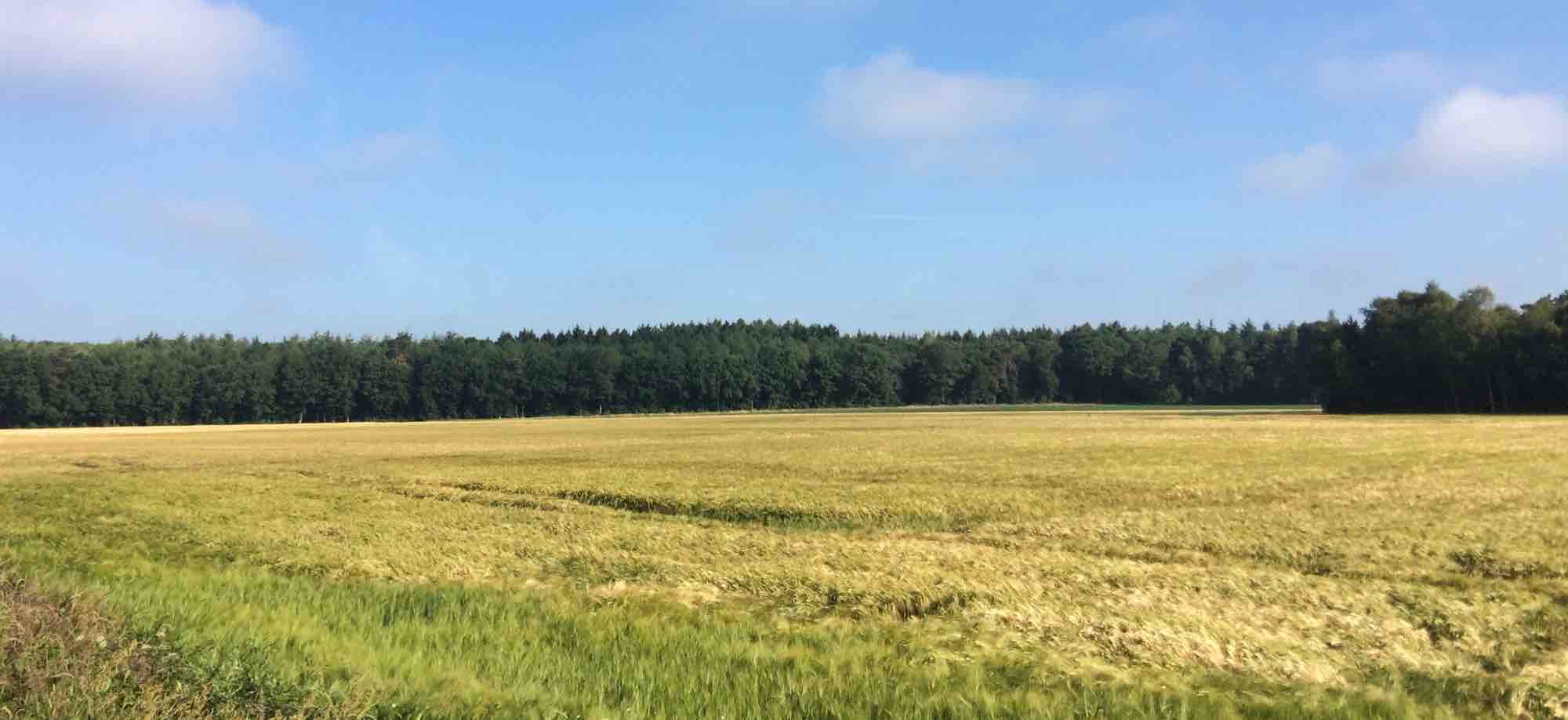 Sögel im Emsland, ländlich schön