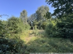 Gartenbereich - *** Einfamilienhaus in Werlte! Handwerkertraum! ***