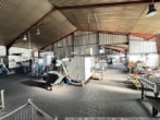 Produktionsbereich Bild II - Gewerbeimmobilie - Exklusive Walmdachvilla und Produktionshalle in Werlte - Perfekt für "Wohnen und Arbeiten"