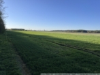 Ansicht I - Börger – In der Masch am Neubörger Wege – Ackerland Gesamtgröße ca. 20.000 m²
