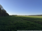 Ansicht II - Börger – In der Masch am Neubörger Wege – Ackerland Gesamtgröße ca. 20.000 m²