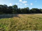 Blick auf das Grünland - Weideland